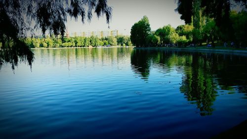 Reflection of trees in calm lake