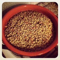 Close-up of food in bowl