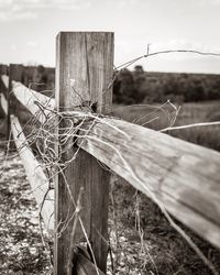 Close-up of barbed wire fence on field