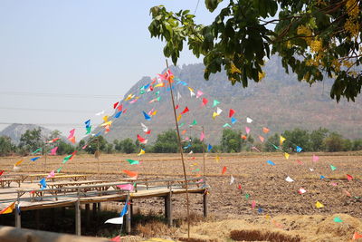 Plants hanging on field by tree against sky