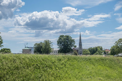 Scenic view of agricultural field against sky