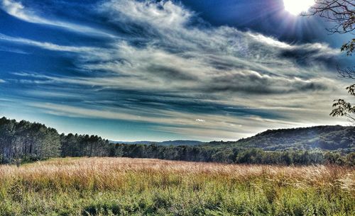 Scenic view of field against cloudy sky