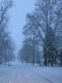 Snow covered landscape