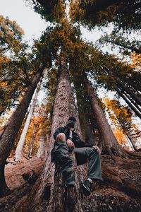 Rear view of couple holding hands in forest