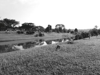 Scenic view of field against clear sky