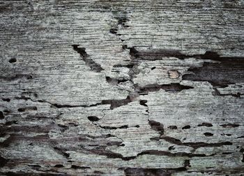 Full frame shot of weathered wood