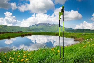 Scenic view of field against sky