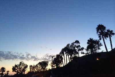 Low angle view of silhouette trees against clear sky