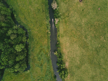 High angle view of trees on field