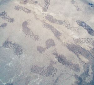 High angle view of footprints on sand