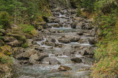 Stream flowing through rocks in forest