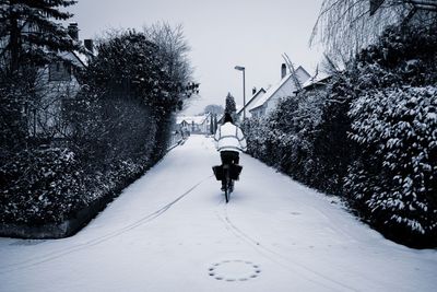 Rear view of person riding bicycle on snow during winter