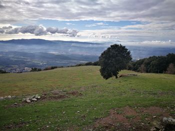 Scenic view of field and mountains against sky