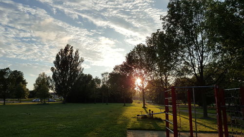 Scenic view of grassy field against sky