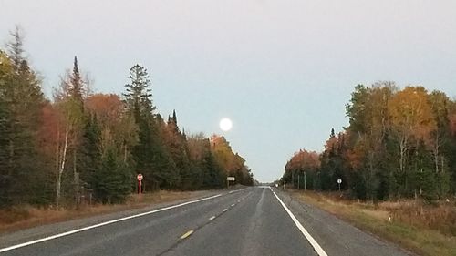 Road amidst trees against clear sky