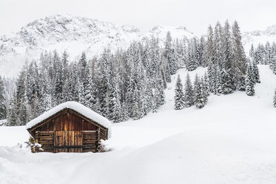 Snow magic. walk in the ancient village of sappada. friuli