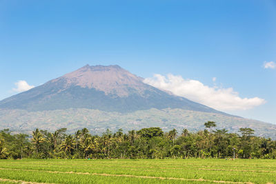 View of a field with mountain in background