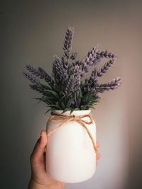 Cropped hand holding flowers in jar against wall