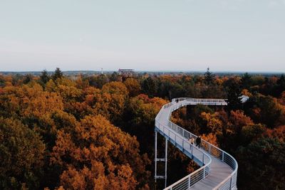 Scenic view of trees against sky