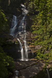 Scenic view of waterfall in forest