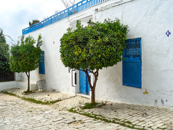 View of building sidi bou said tunesia