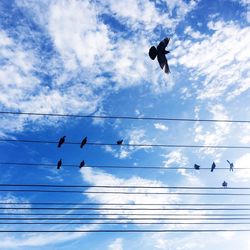 Low angle view of silhouette birds flying against sky