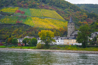 Houses in town by rhine river against trees