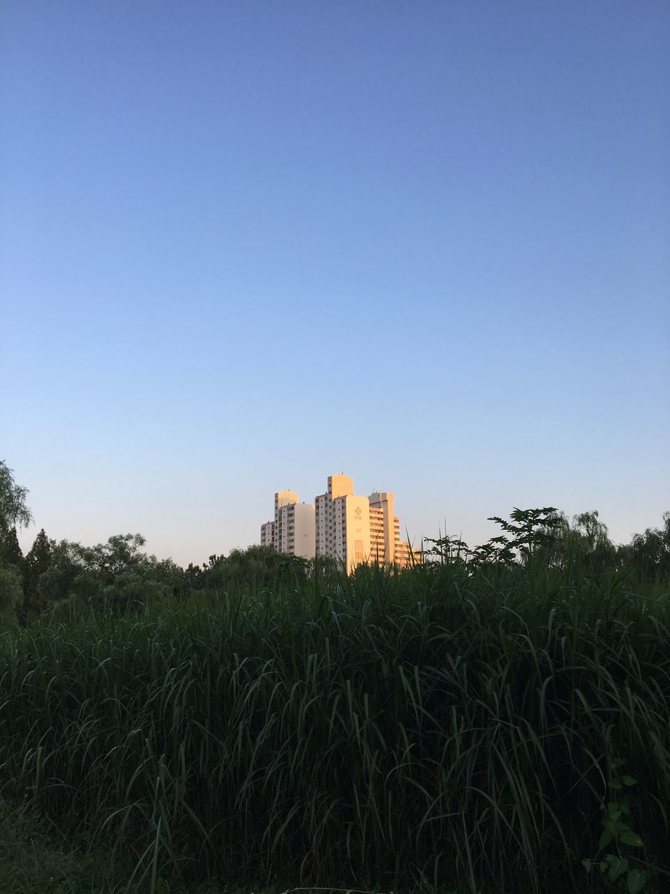 BUILDINGS IN CITY AGAINST CLEAR SKY