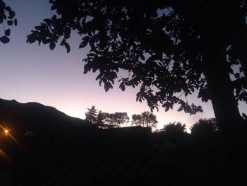 Silhouette trees against sky at night