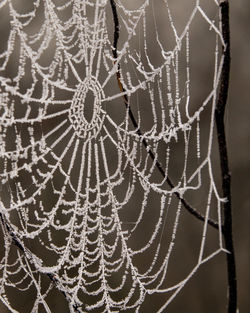 Full frame shot of water drops on spider web