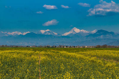 Scenic view of field against cloudy sky