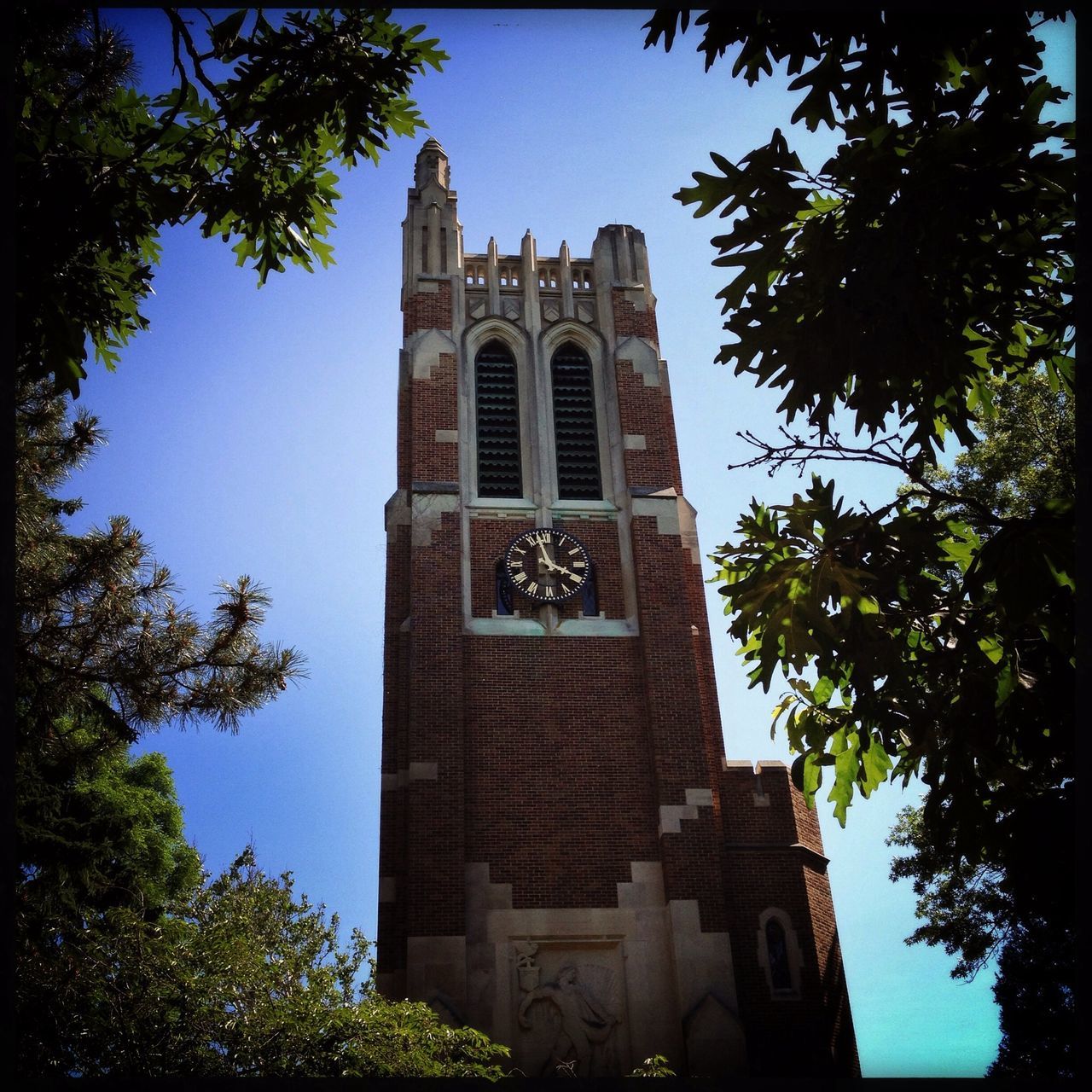 architecture, low angle view, building exterior, built structure, tree, clear sky, tower, clock tower, tall - high, clock, history, blue, time, branch, day, no people, city, outdoors, tall, growth