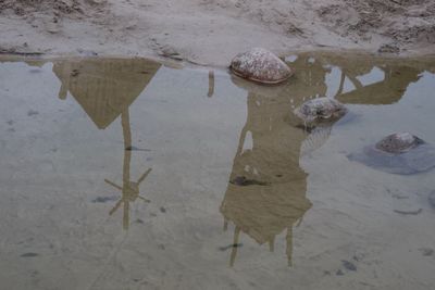 High angle view of reflection in puddle