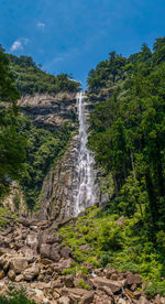 Scenic view of waterfall in forest