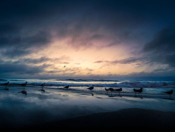 Scenic view of beach against sky during sunset