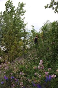 Rear view of person by flower tree against sky