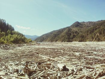 Scenic view of calm sea against sky