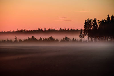 Silhouette trees on landscape against sky during sunset