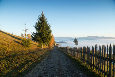 Road amidst trees against clear sky