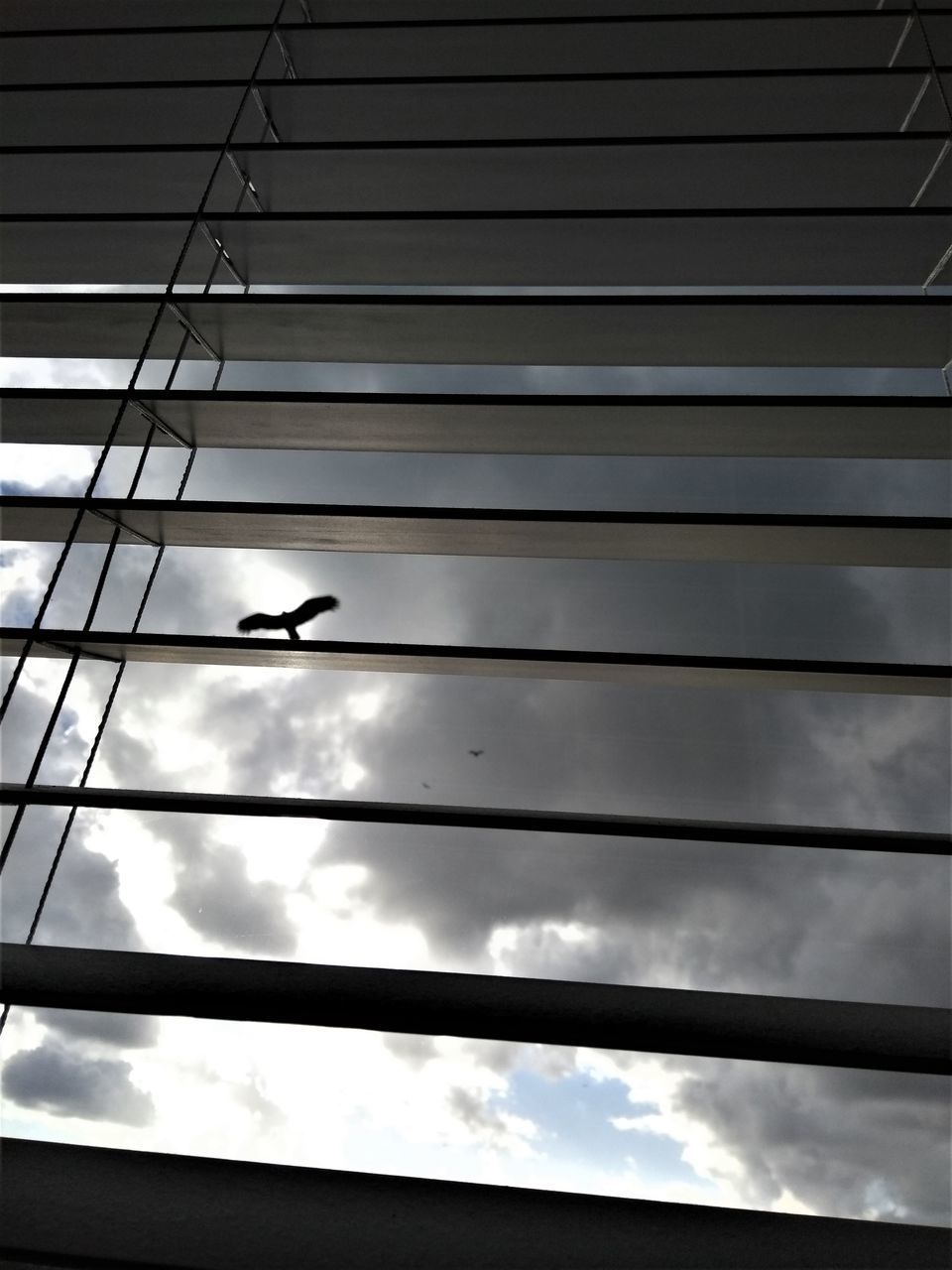 LOW ANGLE VIEW OF AIRPLANE FLYING