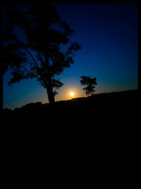 Silhouette of trees at sunset