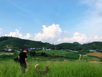 View of a horse on field