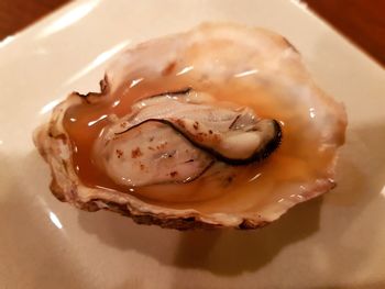 High angle view of dessert in plate