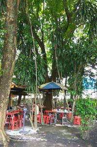 Chairs and trees in park