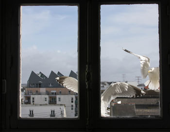 View of buildings against sky seen through glass window