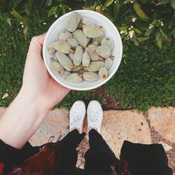 Low section of woman holding bowl of unripe almonds