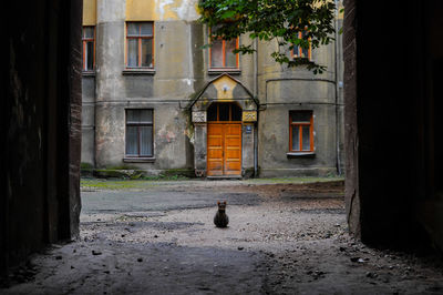 View of an abandoned building