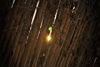 Low angle view of illuminated trees against sky at night