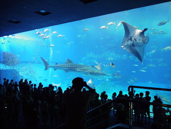 Group of people in aquarium