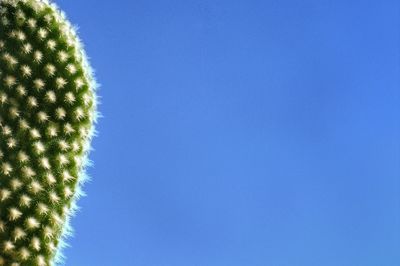 Close-up low angle view of blue sky